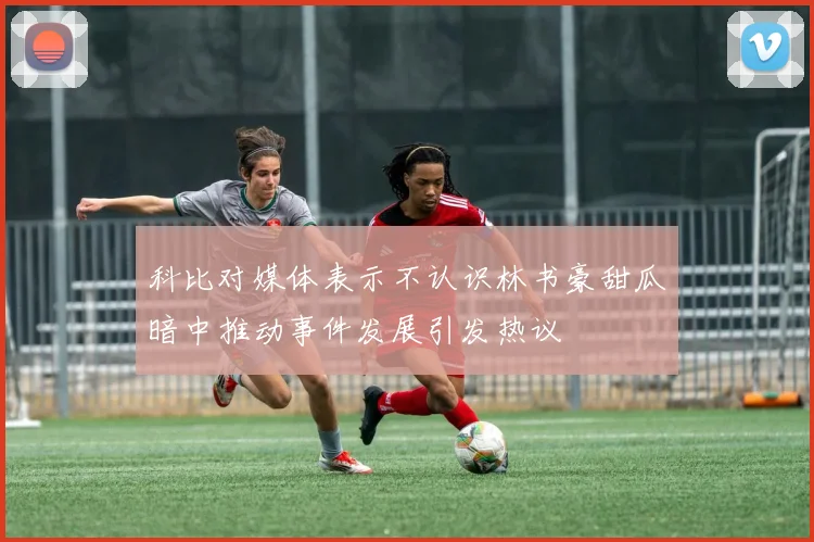 科比对媒体表示不认识林书豪甜瓜暗中推动事件发展引发热议