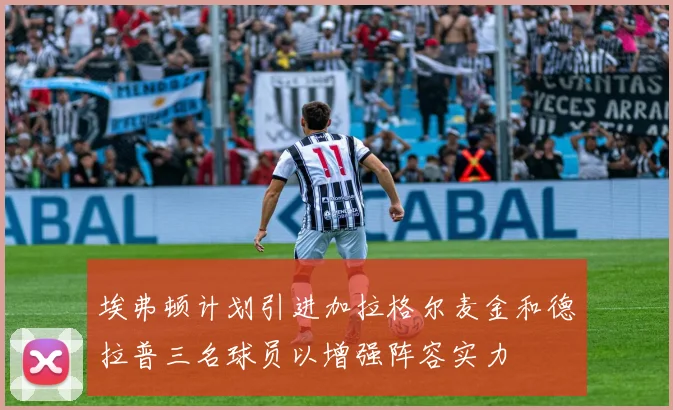 埃弗顿计划引进加拉格尔麦金和德拉普三名球员以增强阵容实力