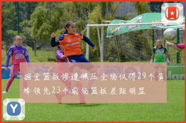 掘金篮板惨遭碾压全场仅得29个黄蜂领先23个前场篮板差距明显