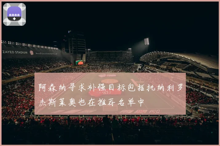阿森纳寻求补强目标包括托纳利罗杰斯莱奥也在推荐名单中